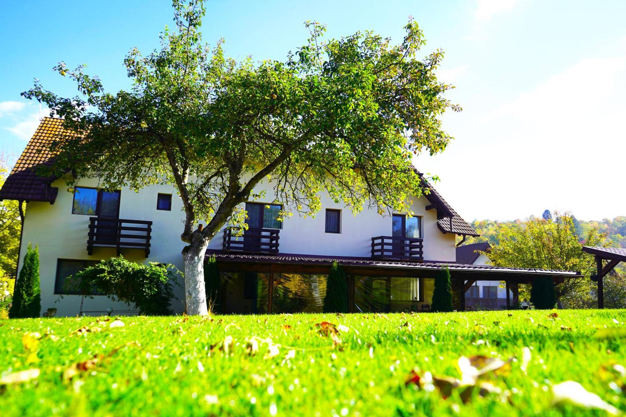 Vila Sohodol Travel Bran  Exterior foto
